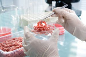 Curso Gratuito Online com Certificado - Inspeção de Alimentos de Origem Animal