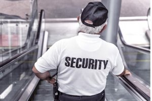 Curso Gratuito Online com Certificado - Formação para Apoio Administrativo Educacional - Segurança e Vigilância 